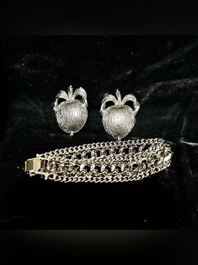 Sarah Coventry Bundle Silver Tone Multi-Row Link Bracelet and Earrings
